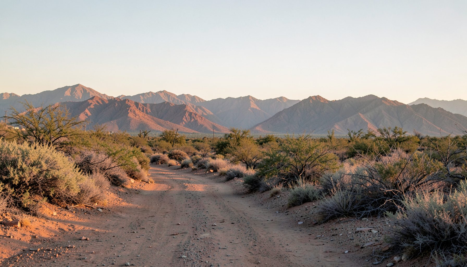 A wide view of a quiet Sonoran desert path at golden hour, with soft mountains in the background in muted terracotta and sage.